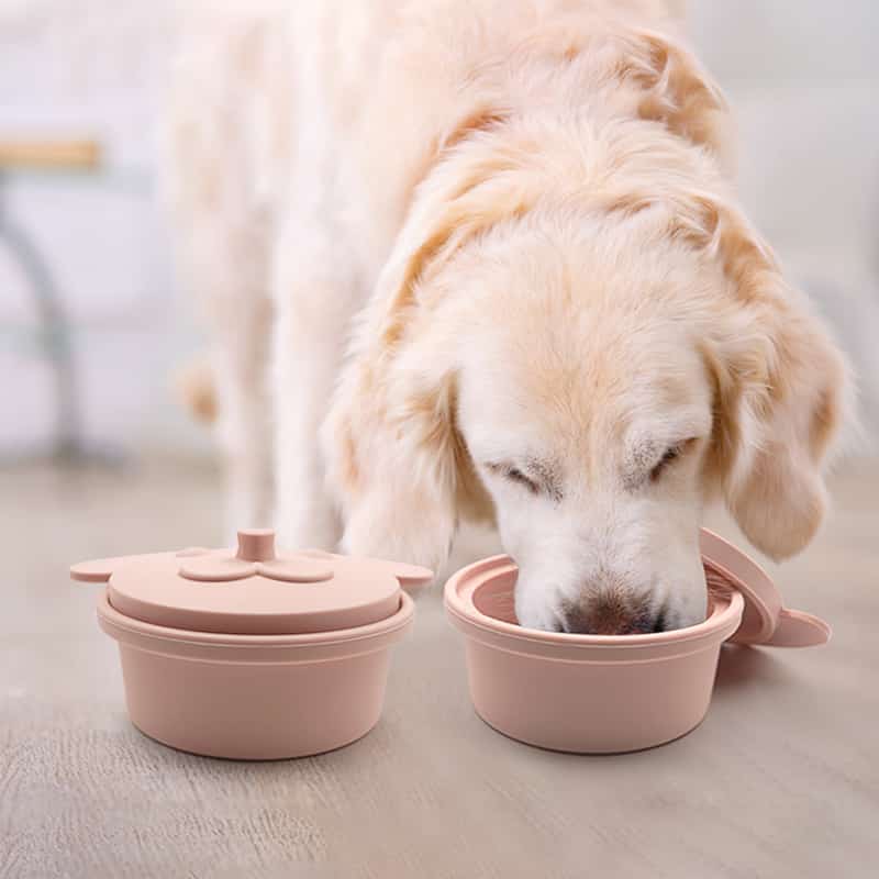 silicone dog feeding bowl application - Silicone Pets Bowl - ZSR