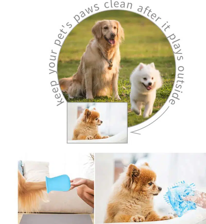 silicone paws cleaner - What Is Silicone Products Used In Pets Industry - Z.S.R.