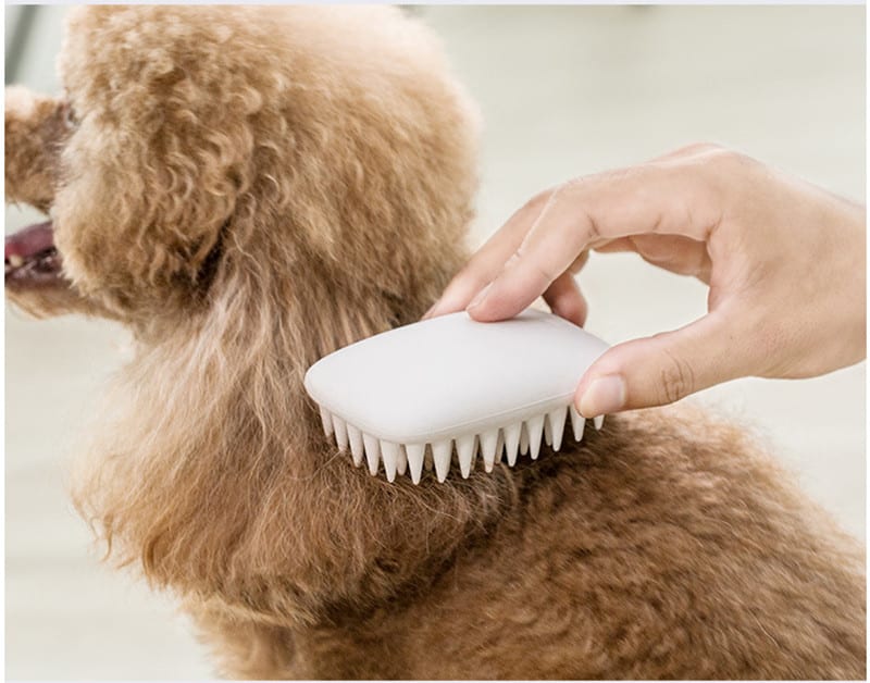 brosse en silicone pour animaux de compagnie - Qu'est-ce que les produits en silicone utilisés dans l'industrie des animaux de compagnie - ZSR