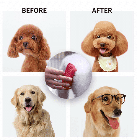 Pet Silicone Shampoo Brush Manufacturing - Custom Dog Bath Grooming Brush Scrubber - ZSR
