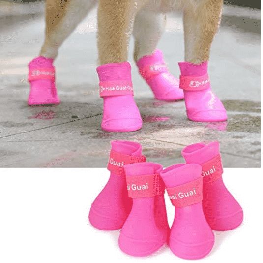 Pet Dog Boots Manufacturing - Custom Silicone Dog Waterproof Boots - ZSR