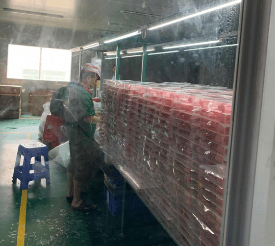 9 Silicone baby bibs in package - Silicone Placemats - Z.S.R.